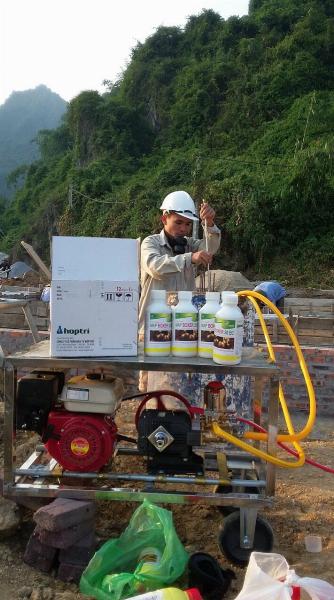 Dịch vụ diệt mối - Công Ty TNHH Thương Mại Dịch Vụ CT Việt